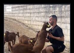 Enlace a No haremos preguntas