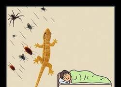 Enlace a Así que si ves una en casa, mejor déjala tranquila: está trabajando gratis para ti