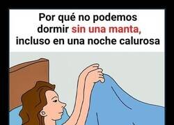 Enlace a Sin sábanas estaríamos jodidos