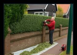 Enlace a Peta tamaño vasco