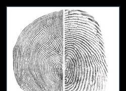 Enlace a Humanos y árboles