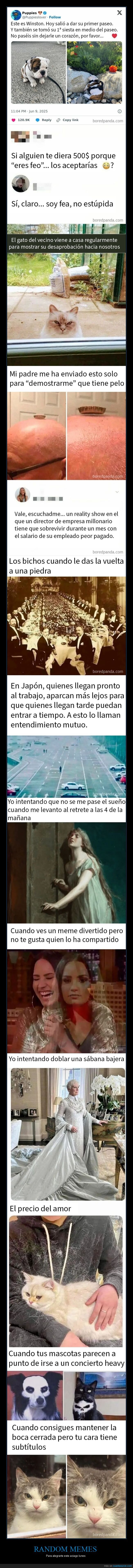 lunes,memes,humor,risas