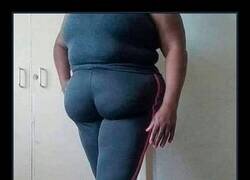 Enlace a Seguramente estarán todos desconcertados