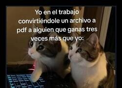 Enlace a Y llamándole hdp sin que me vea