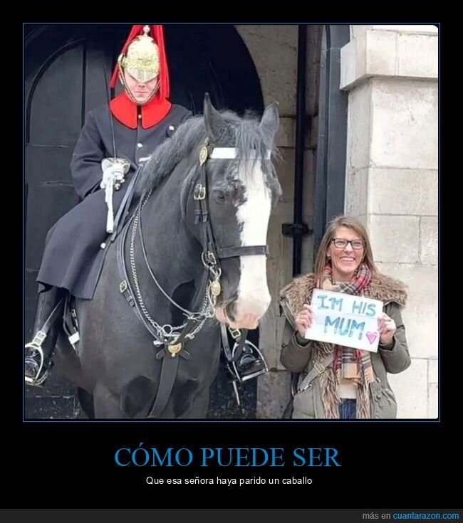 guarda real,caballo,madre