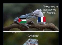 Enlace a Francia, qué te han hecho