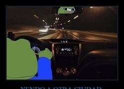 Enlace a Soy tímido conduciendo