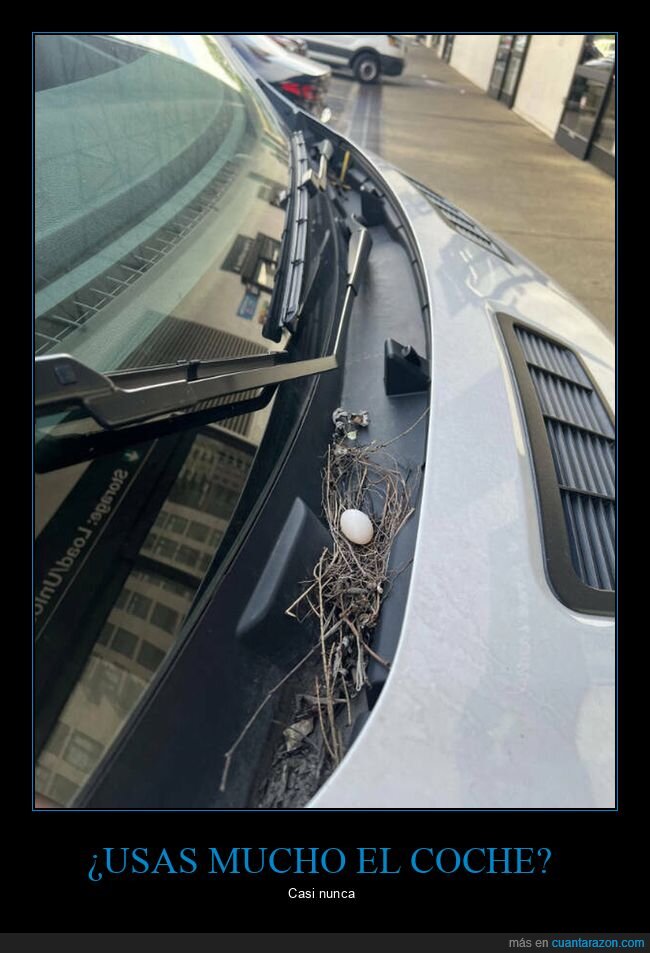 coche,mucho,usar
