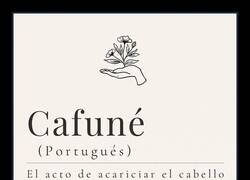 Enlace a El portugués es un idioma precioso