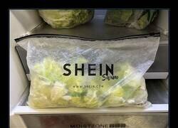 Enlace a Mi abuela aún vive en la posguerra