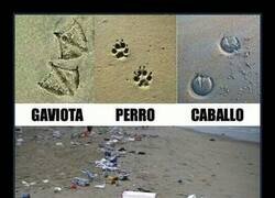 Enlace a La huella del hombre es la peor de todas