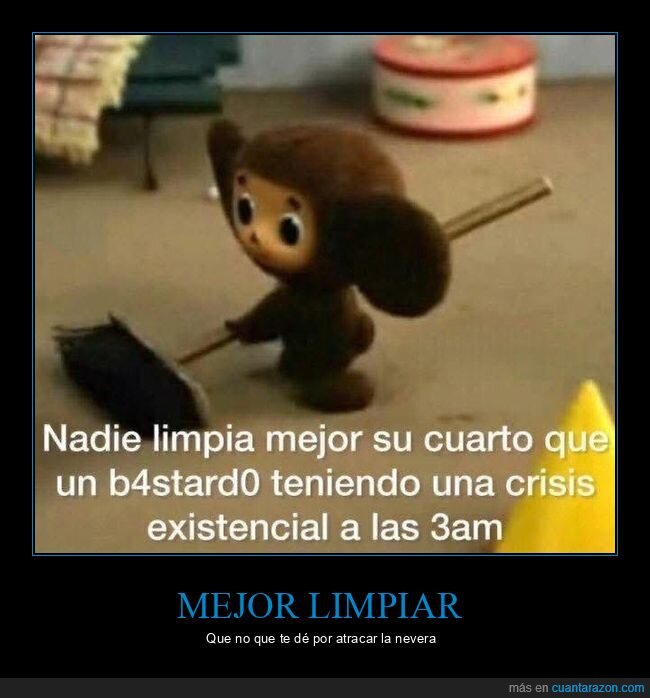 ansiedad,crisis,limpiar