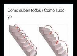 Enlace a De 3 en 3 es de jefes