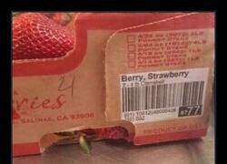 Enlace a Berry, strawberry