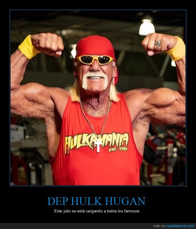 hulk hogan,dep,wwe