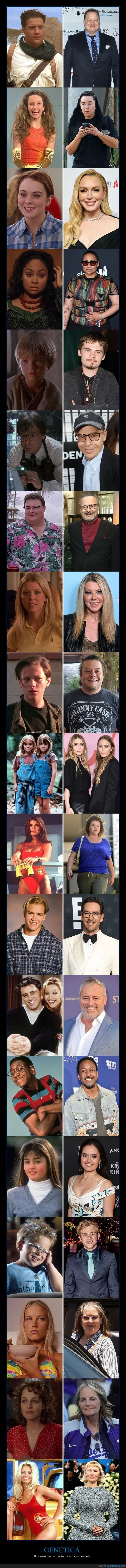 estrellas,evolución,famosos