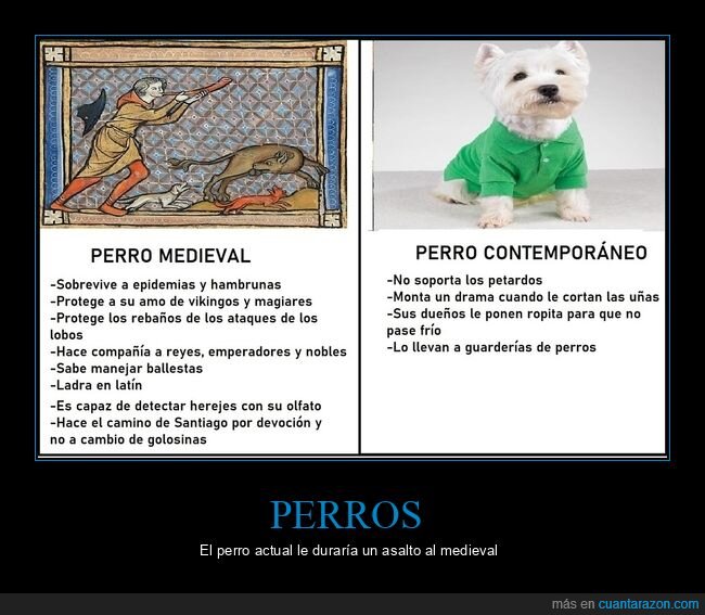perro,flojo,comparativa