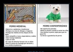 Enlace a Perro medieval vs perro contemporáneo