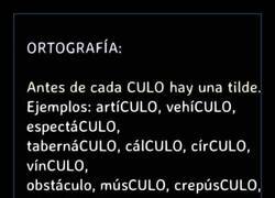 Enlace a La cosa va de culos
