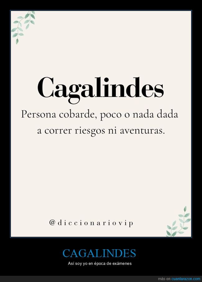 vocabulario,incorporar,insultos,cobarde