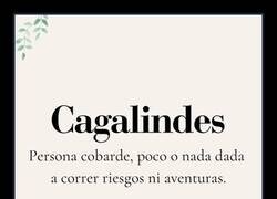 Enlace a No puedo evitar ser un cagalindes