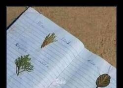 Enlace a Al menos te obligaba a salir al monte