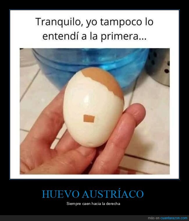 huevo,hitler,cáscara