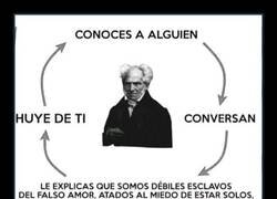 Enlace a El ciclo de Schopenhauer