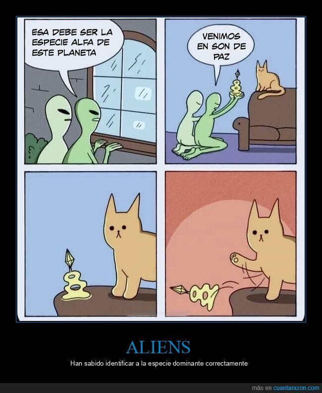 extraterrestres,gatos