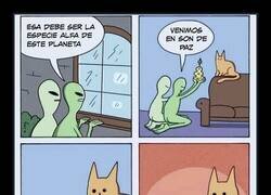 Enlace a La especie alfa