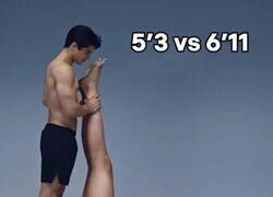 Enlace a Una comparativa de altura