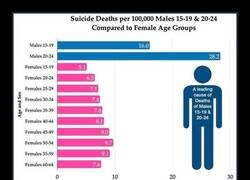 Enlace a Notables diferencias entre géneros