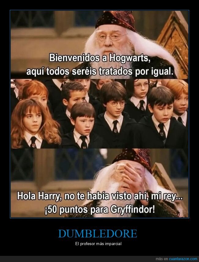dumbledore,hogwarts,harry potter