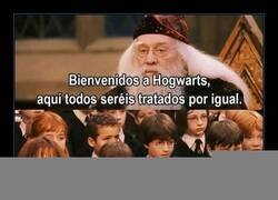 Enlace a Sin favoritismos