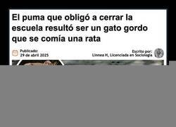 Enlace a Confusión lógica