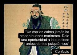 Enlace a Un consejo poco sabio