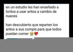 Enlace a Compartir es vivir