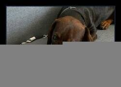 Enlace a Manual ineficaz