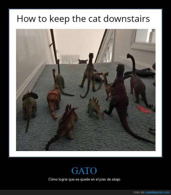 gato,escaleras,muñecos,dinosaurios