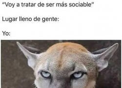 Enlace a Se intentó...