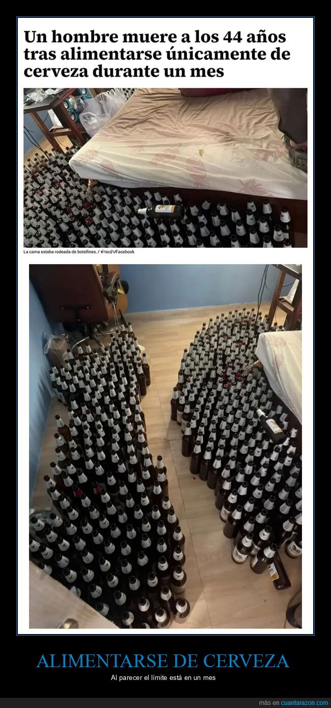 alimentarse,cerveza