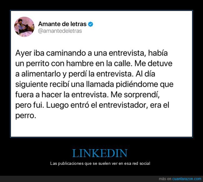 entrevista de trabajo,perros