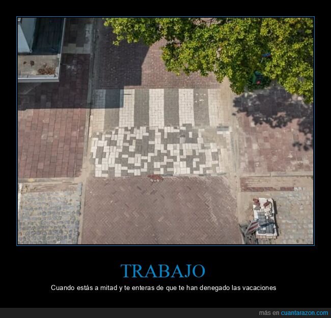 baldosas,paso de cebra,wtf