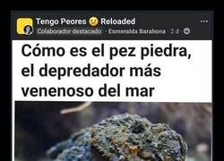 Enlace a Resulta obvio...