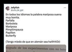 Enlace a Diferencias lingüísticas