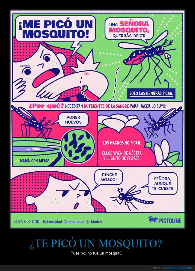 mosquitos,hembras,picar