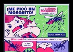 Enlace a Curiosidad sobre los mosquitos