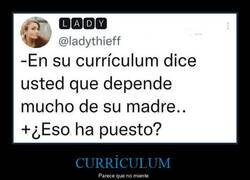 Enlace a Currículum sincero