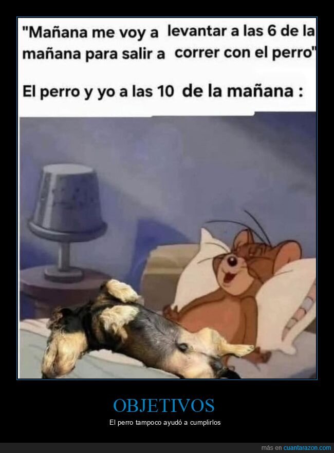 madrugar,correr,perro,durmiendo