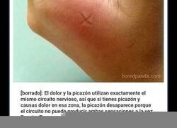 Enlace a Memes y bromas que necesitaron ser explicados